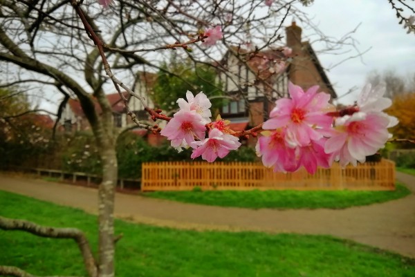 image of Oak Tree Health Centre